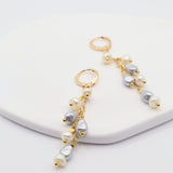 daniela earrings silver