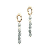 dani earrings silver